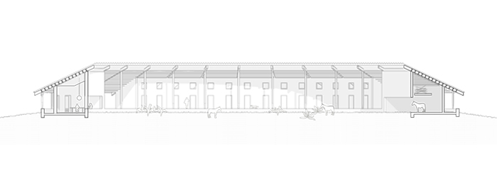 section